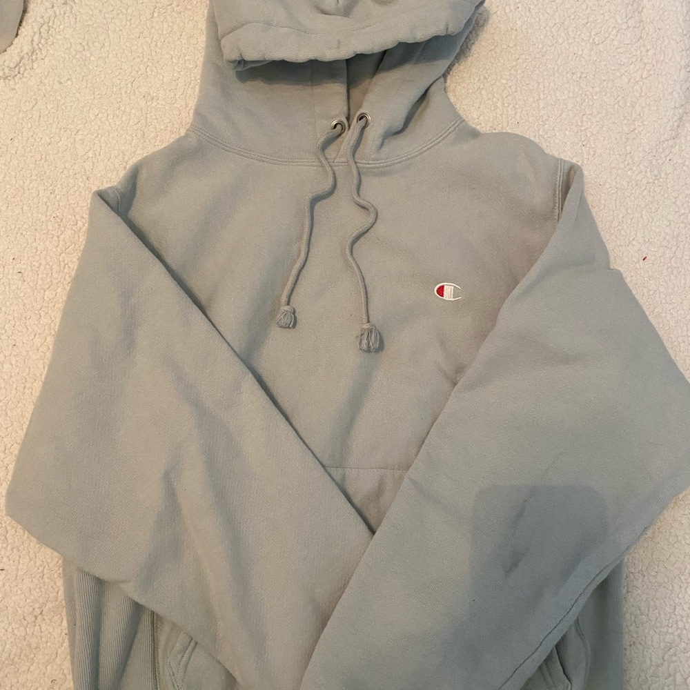 champion reverse weave hoodie